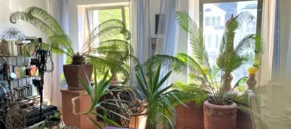 Edificio de 18 habitaciónes en Viersen, Germany No. 14266 12