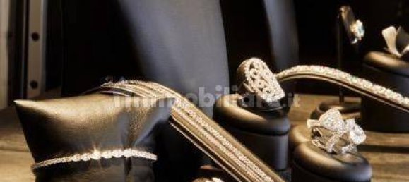 1-Zimmer Gewerbliche Immobilie in Grottaferrata, Italy, Nr. 68096 4