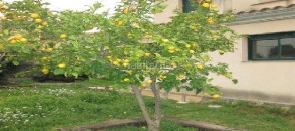 1 Schlafzimmer Haus in Esparreguera, Spain, Nr. 136006 8