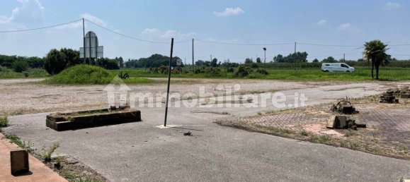 Коммерческая недвижимость с 3 комнатами в Канаро, Италия № 228381 15