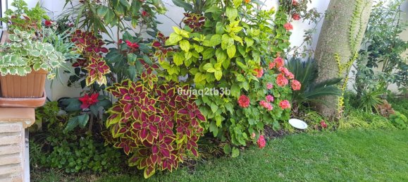 5 غرف نوم منزل في Estepona, Spain رقم 136368 24