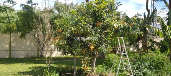 5 غرف نوم منزل في Estepona, Spain رقم 136368 22