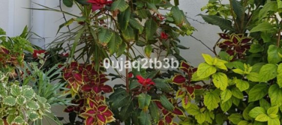 5 غرف نوم منزل في Estepona, Spain رقم 136368 29