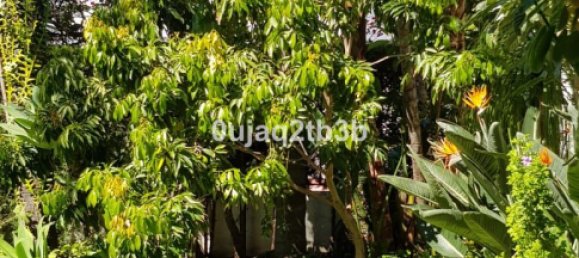 5 غرف نوم منزل في Estepona, Spain رقم 136368 28