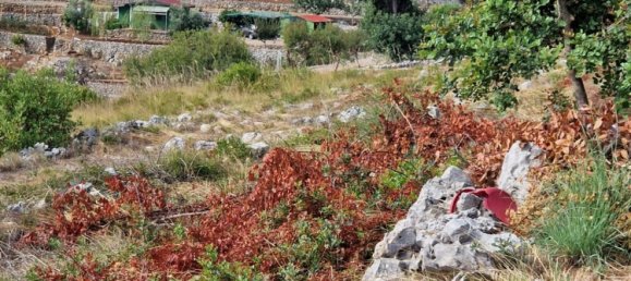 1779m² Land in Gaeta, Italy No. 87152 7