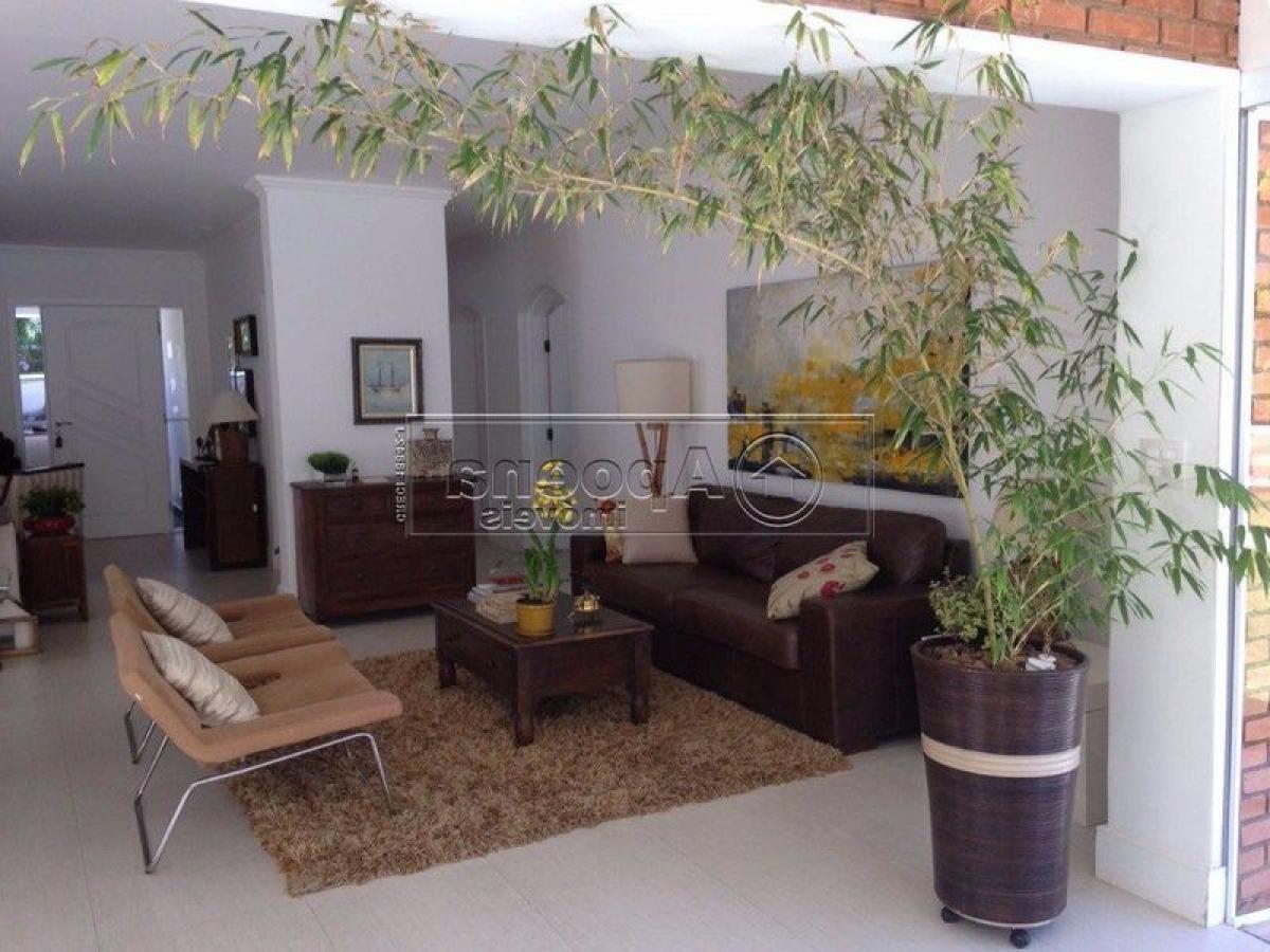 4 bedrooms House in Sao Paulo, Brazil No. 497818