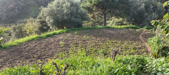 3 Schlafzimmer Haus in Estepona, Spain, Nr. 148721 22