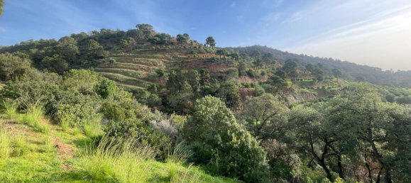 3 Schlafzimmer Haus in Estepona, Spain, Nr. 148721 26