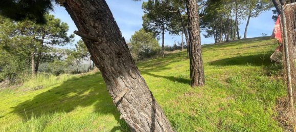 3 Schlafzimmer Haus in Estepona, Spain, Nr. 148721 28