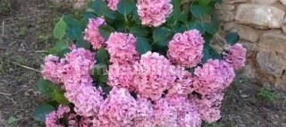 1 غرف نوم منزل في Montesegale, Italy رقم 58916 5