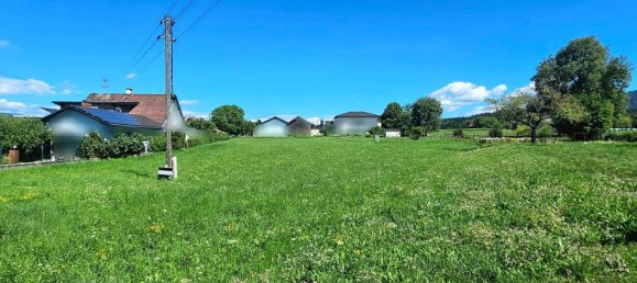 Grundstück in Feistritz ob Bleiburg, Austria, Nr. 164651 13