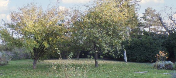 Casa de 5 divisões em Vienna, Austria N.º 24890 13