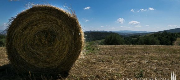 Casa T9 em Pomarance, Italy N.º 55639 40