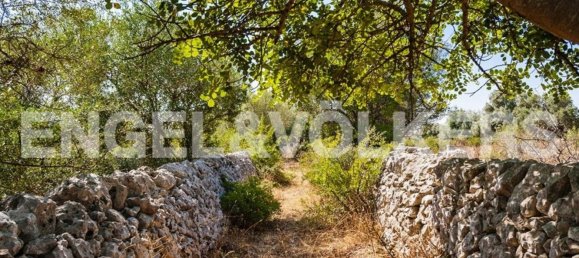 20 rooms House in Noto, Italy No. 178011 19