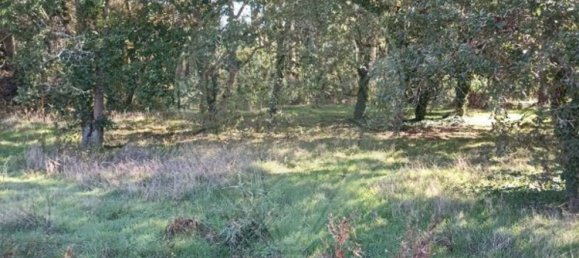 Terreno en Aveiro, Portugal 5300 m² No. 27627 7