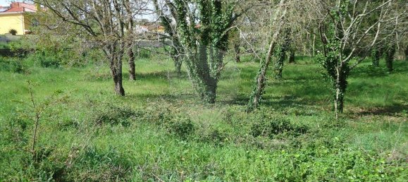 Terreno en Aveiro, Portugal 5300 m² No. 27627 13