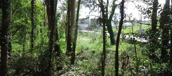 Terreno en Aveiro, Portugal 5300 m² No. 27627 23