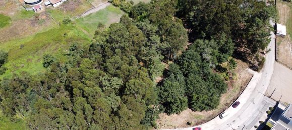 Terreno en Aveiro, Portugal 5300 m² No. 27627 3