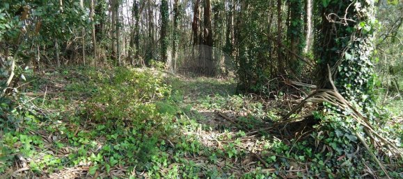 Terreno en Aveiro, Portugal 5300 m² No. 27627 19