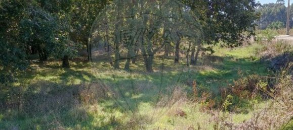 Terreno en Aveiro, Portugal 5300 m² No. 27627 8