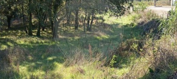 Terreno en Aveiro, Portugal 5300 m² No. 27627 6