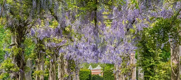 4 Schlafzimmer Haus in Enfield, United Kingdom, Nr. 3305 5