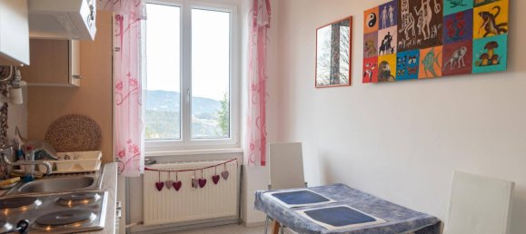 2 rooms Apartment in Semmering, Austria No. 256042 10
