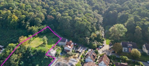 Земельный участок в Рейн-Неккар, Германия № 282431 2