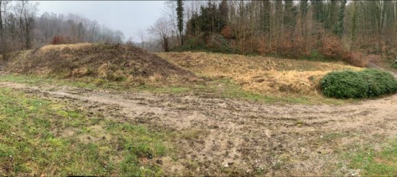 Земельный участок в Рейн-Неккар, Германия № 282431 3