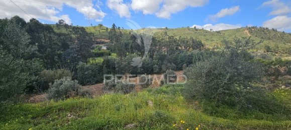 Земельный участок 14000м² в Силвиш, Португалия № 58327 6