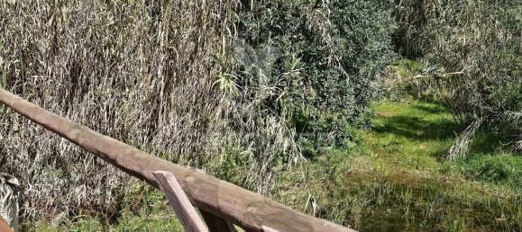 Земельный участок 14000м² в Силвиш, Португалия № 58327 9