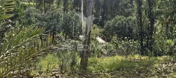 Земельный участок 14000м² в Силвиш, Португалия № 58327 3