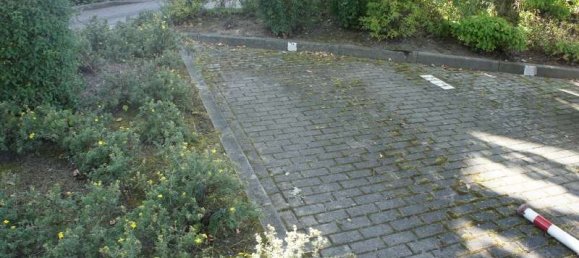 1 chambre Appartement à Dresden, Germany No. 313126 6