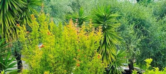 10 rooms Villa in Camaiore, Italy No. 167792 29