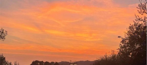 10 rooms Villa in Camaiore, Italy No. 167792 35