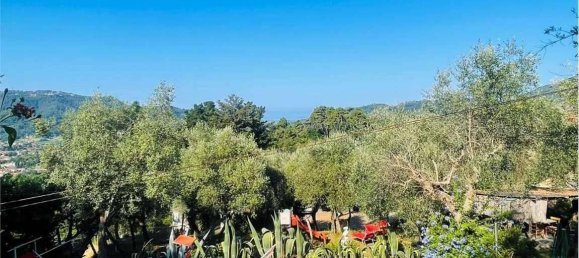 10 rooms Villa in Camaiore, Italy No. 167792 2