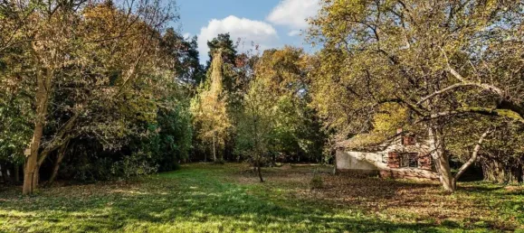 قطعة أرض في Schmockwitz, Germany رقم 58498 3