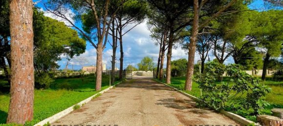 20-Zimmer Villa in Lecce, Italy, Nr. 203125 17