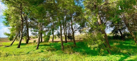 20-Zimmer Villa in Lecce, Italy, Nr. 203125 31