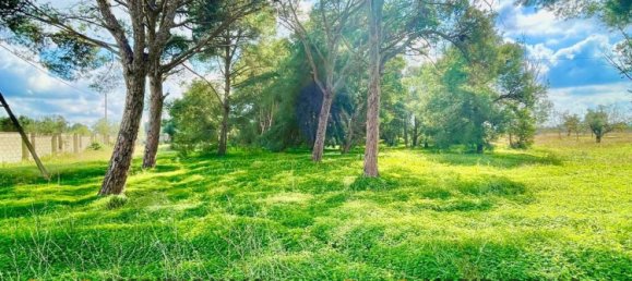 20-Zimmer Villa in Lecce, Italy, Nr. 203125 29