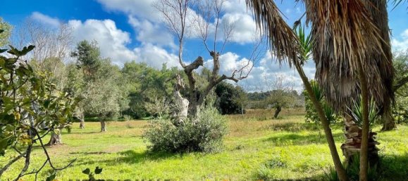 20-Zimmer Villa in Lecce, Italy, Nr. 203125 32