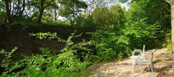  Land in Blumau-Neurisshof, Austria No. 247561 6