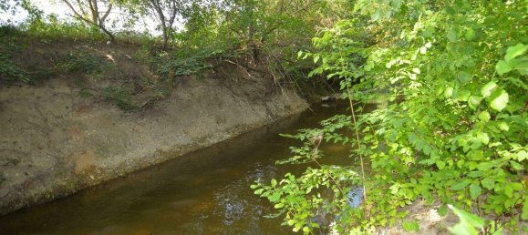  Land in Blumau-Neurisshof, Austria No. 247561 7