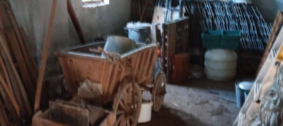 Ферма с 6 комнатами в Бургенланд, Германия № 203488 23