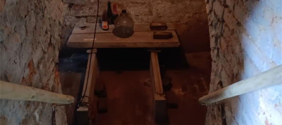 Ферма с 6 комнатами в Бургенланд, Германия № 203488 26