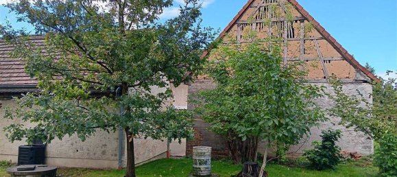 Ферма с 6 комнатами в Бургенланд, Германия № 203488 35