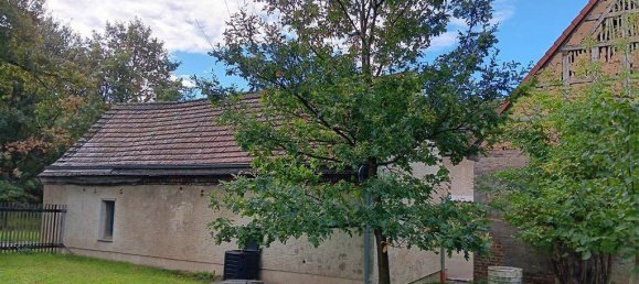 Ферма с 6 комнатами в Бургенланд, Германия № 203488 36