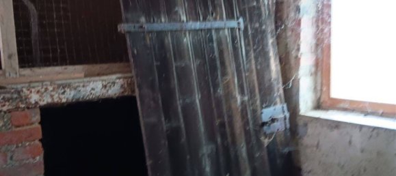 Ферма с 6 комнатами в Бургенланд, Германия № 203488 27