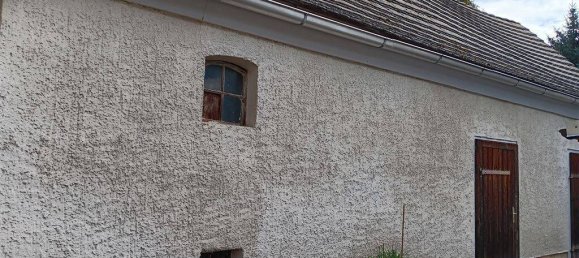 Ферма с 6 комнатами в Бургенланд, Германия № 203488 25