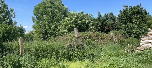 Terreno en Bernhardsthal, Austria 5754 m² No. 78282 5